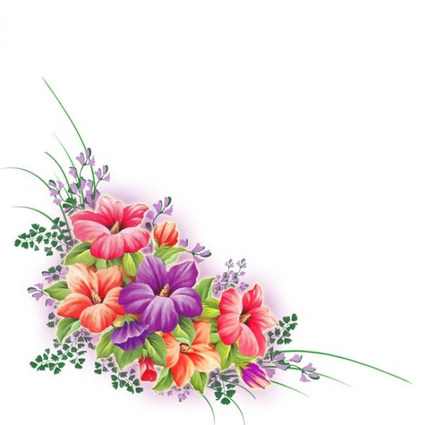 Цветы уголок