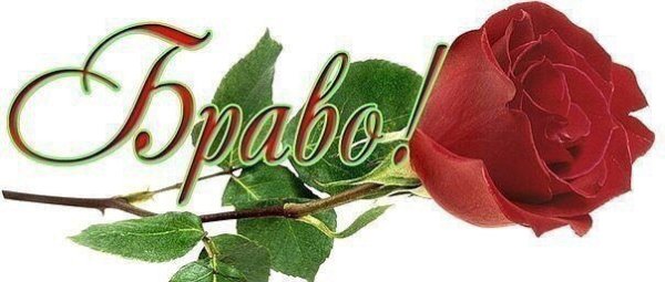 Браво цветы