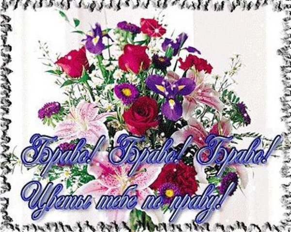 Великолепно молодец Браво