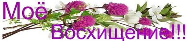 Восхищаюсь твоим талантом