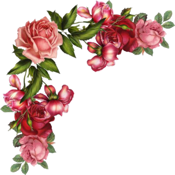 Цветы угловые