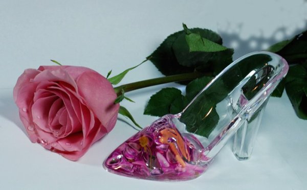 Цветы для Золушки