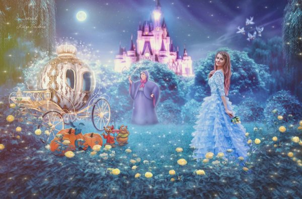 Золушка на белом фоне