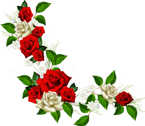 Цветы угловые красивые