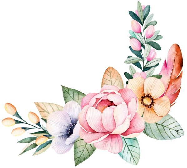 Акварельные цветы на прозрачном фоне