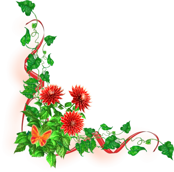 Цветы угловые