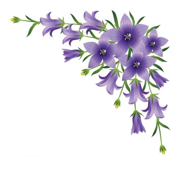 Колокольчик на белом фоне