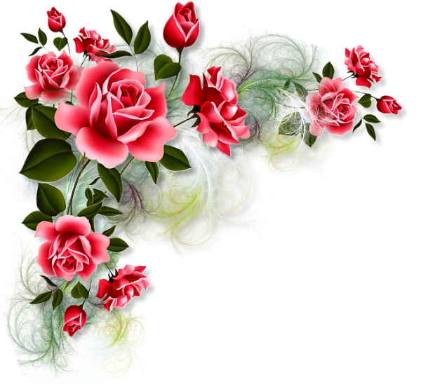 Цветы в углу