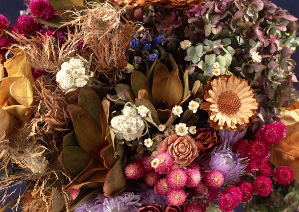 Dried Flowers сухоцветы