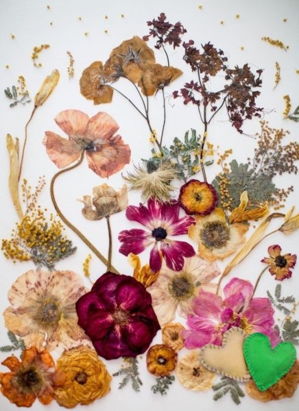 Наклейки с сухоцветами