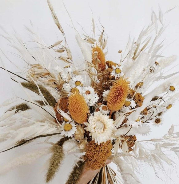 Фотообои сухоцветы