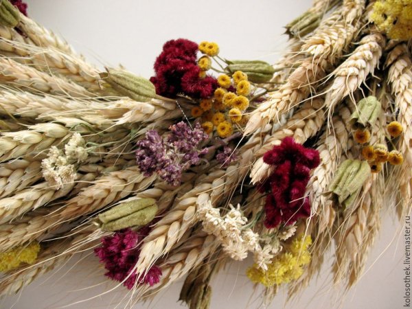 Засушенные пионы