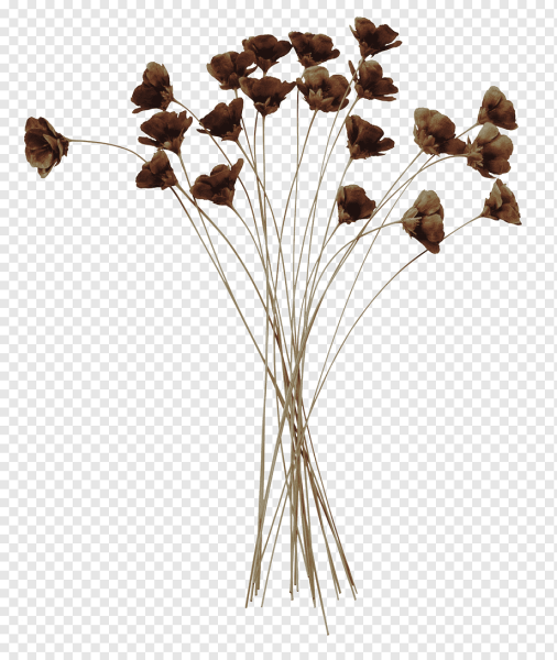 Гипсофила акварель