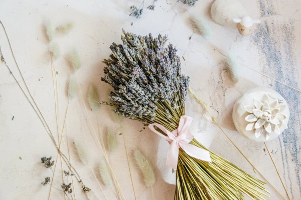 Кардус сухоцвет