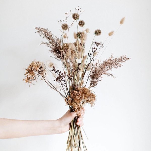 Разные цветы