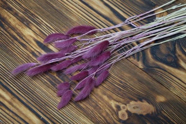 Сухие лепестки цветов