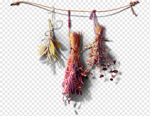 Бриза Максима сухоцвет