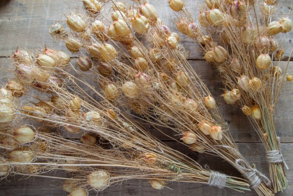 Сухоцветы "сад Прованс"