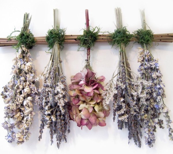 Сухоцвет Амарант в венке