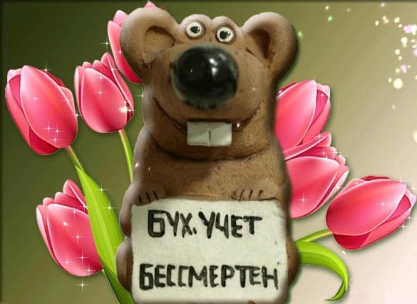 С днем бухгалтера анимашки