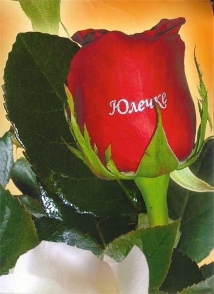 Надпись цветы