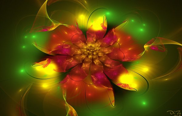 Цветы абстракция