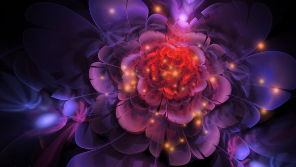 Абстрактные цветы