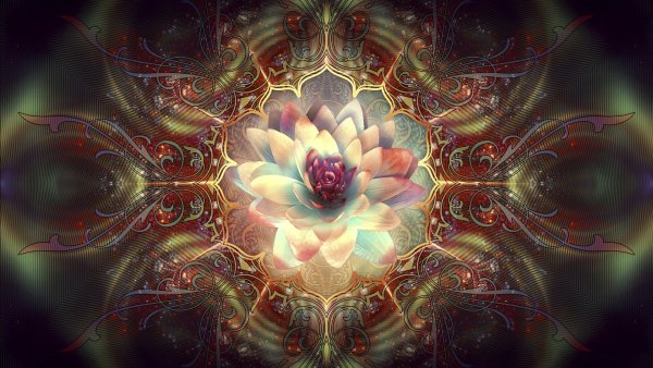 Лорен Карпентер Фракталы