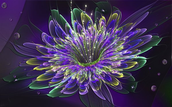 Фрактальные цветы