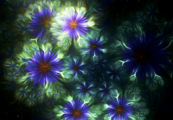 Сильвия Кордедда