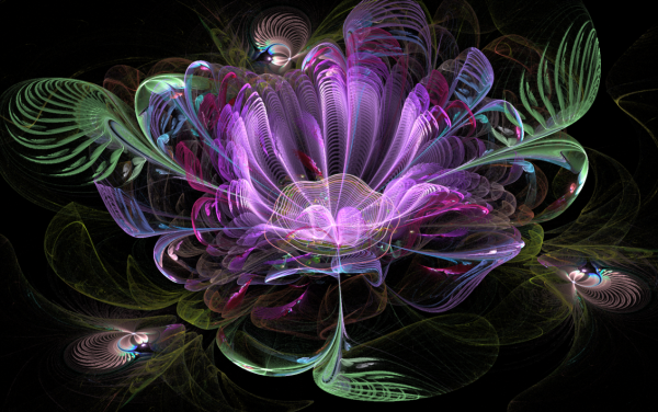 Фракталы цветы