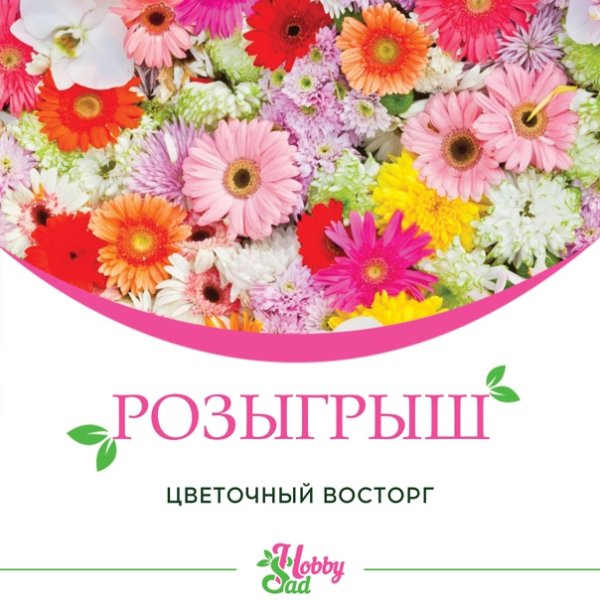 Розыгрыш цветов