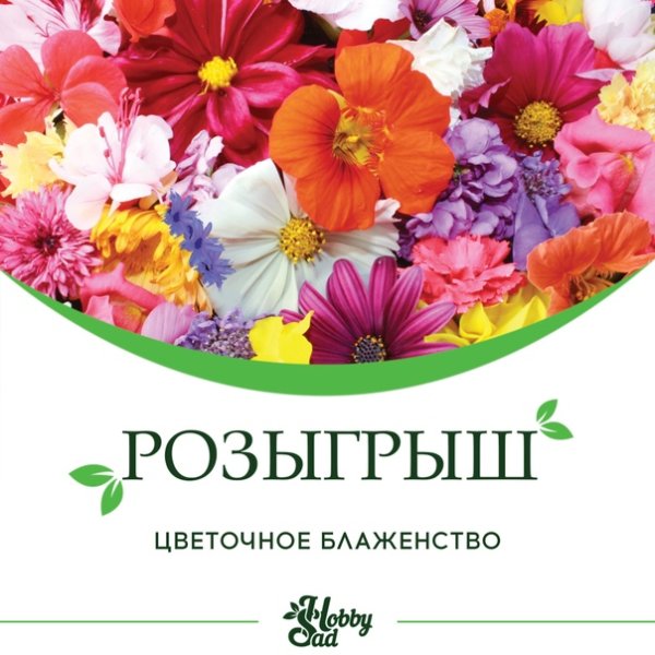 Розыгрыш цветов