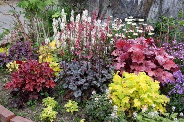 Гейхера Fire Chief фаер Чиф