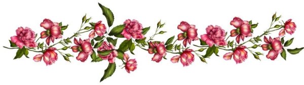 Цветочные бордюры на прозрачном фоне