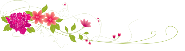 Цветочные виньетки на прозрачном фоне