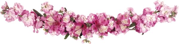 Цветочная гирлянда на прозрачном фоне