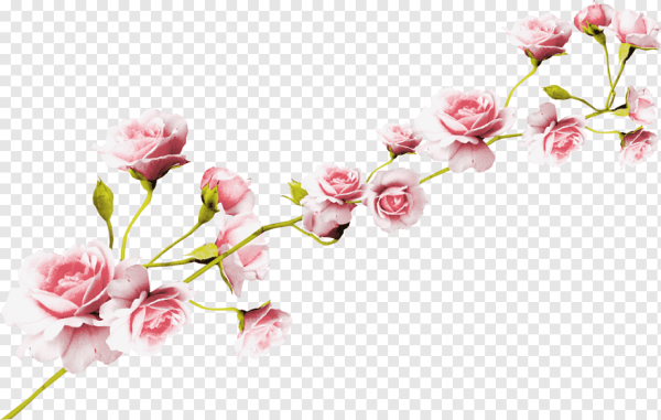 Цветы на ветке