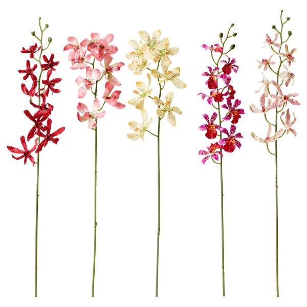 Скинали орхидеи