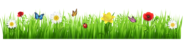 Цветочные бордюры на прозрачном фоне