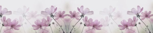 Цветочная гирлянда на прозрачном фоне