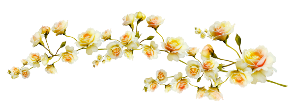 Цветы для оформления