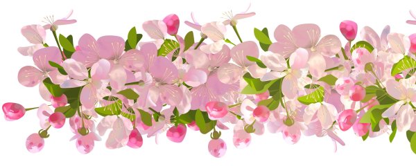 Фиолетовые разделители на прозрачном фоне