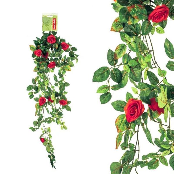 Ампельная роза