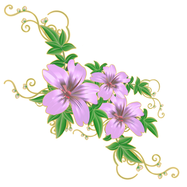 Лиана бугенвиллия растение