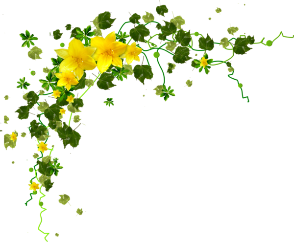 Вьющиеся цветы на прозрачном фоне