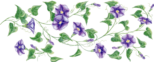 Вьющиеся цветы орнамент
