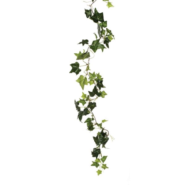 Вьющиеся цветы на прозрачном фоне