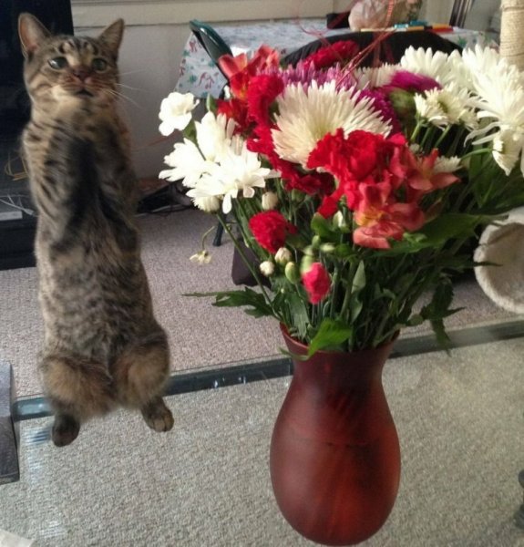 Смешной букет