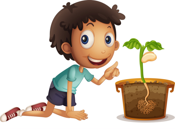 Сажает рассаду иллюстрация